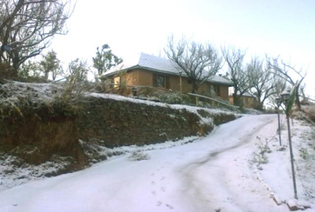 Oyo 43476 Vatika Resort Shimla Extérieur photo